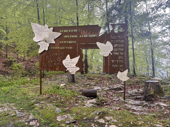 23-05-23 12-14-43 5585